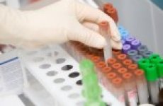 О результатах работы отдела по контролю ГМО отделения биотехнологии ФГБУ «ВГНКИ» с 1 по 5 августа
