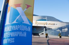 Директор ФГБУ «ВГНКИ» Леонид Киш принял участие в IX Международном Ветеринарном Конгрессе