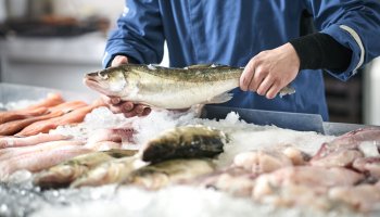 Рыба и морепродукты составили 23% от всего объема ввезенной продукции, поднадзорной Россельхознадзору