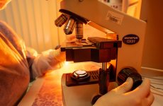 570 исследований с 23 по 29 ноября 2020 года провели сотрудники клинико-диагностического центра ФГБУ «ВГНКИ»