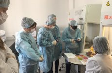 В ФГБУ «ВГНКИ» прошел обучающий курс по определению Bacillus cereus и Enterococcus faecalis в пищевой продукции и кормах