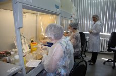 В ФГБУ «ВГНКИ» прошли курсы повышения квалификации по теме «ПЦР-диагностика инфекционных болезней животных»
