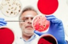 О результатах лабораторных исследований ФГБУ «ВГНКИ» продукции, предназначенной для осуществления питания школьников
