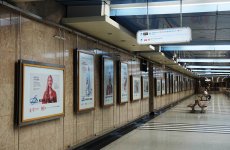 Научная работа сотрудника ФГБУ «ВГНКИ» представлена на выставке «Наука в лицах» в парке «Музеон» и в Московском метрополитене