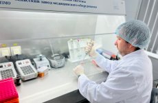 Более 5 тыс. исследований в области молекулярной биологии выполнило ФГБУ «ВГНКИ» с начала 2025 года