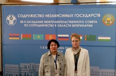 Специалисты ФГБУ «ВГНКИ» приняли участие в заседании Межправительственного совета по сотрудничеству в области ветеринарии стран-участников СНГ в Минске