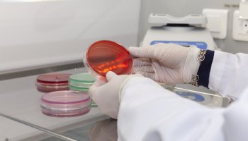 ФГБУ «ВГНКИ» проведет программу повышения квалификации по работе с питательными средами   