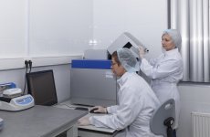 ФГБУ «ВГНКИ» получило решение о выдаче патента на разработку для выявления генетически модифицированных бактерий   