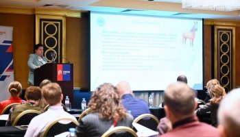 Заместитель директора ФГБУ «ВГНКИ» Василина Грицюк выступила с докладом на конференции «Кормовые аминокислоты и витамины – 2026»   