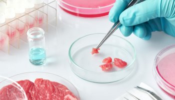 ФГБУ «ВГНКИ» проведёт программу повышения квалификации по современным методам анализа содержания тяжёлых металлов