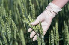 ФГБУ «ВГНКИ» подтвердило компетентность и расширило полномочия в области сертификации