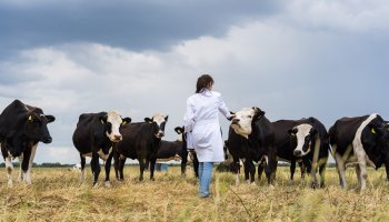 ФГБУ «ВГНКИ» приняло участие в международном вебинаре по мерам борьбы с бруцеллезом   