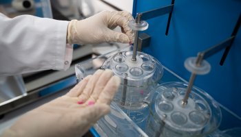 ФГБУ «ВГНКИ» проведет обучение по разработке и оформлению методов ВЭЖХ для анализа ветеринарных препаратов   