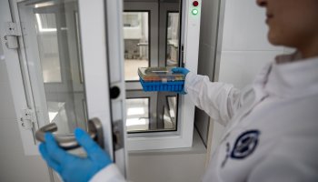 ФГБУ «ВГНКИ» разрабатывает ПЦР-методику для выявления лямблиоза у домашних животных      