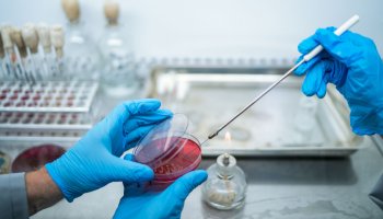 ФГБУ «ВГНКИ» реализует программы подготовки научных и научно-педагогических кадров в аспирантуре