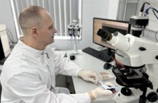 ФГБУ «ВГНКИ» обнаружено нарушение микробиологического показателя в импортных креветках