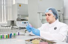    В ФГБУ «ВГНКИ» выявили нарушения в рыбном фарше и креветках зарубежного производства