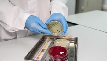 В ФГБУ ВГНКИ расскажут, как контролировать качество питательных сред