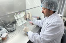 Ученые ФГБУ «ВГНКИ» разрабатывают ПЦР-методики для определения видовой принадлежности мясного сырья   