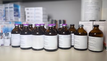 В ФГБУ «ВГНКИ» завершилось обучение по регистрации иммунобиологических ветеринарных лекарственных препаратов   