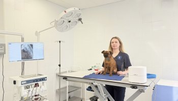 Ветеринарный центр ФГБУ «ВГНКИ» оформил более 120 документов для выезда с питомцем за границу и провел 75 операций животным         