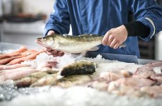 Рыба и морепродукты составили 23% от всего объема ввезенной продукции, поднадзорной Россельхознадзору