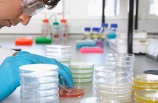 В ФГБУ «ВГНКИ» пройдет обучение по лабораторной диагностике и современным подходам к микробиологическому анализу