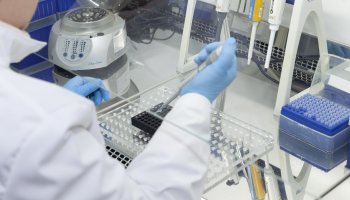 ФГБУ «ВГНКИ» внедрит в практику методы определения фальсификации рыбной продукции      