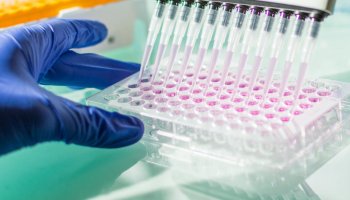 Специалисты ФГБУ «ВГНКИ» расскажут, как правильно диагностировать бруцеллез серологическими методами      