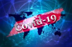 Специалисты ФГБУ «ВГНКИ» проведут бесплатные тестирования животных на выявление новой коронавирусной инфекции (COVID-19)